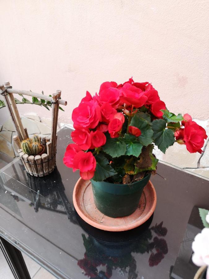 B&B Casa Valeria Catane Extérieur photo
