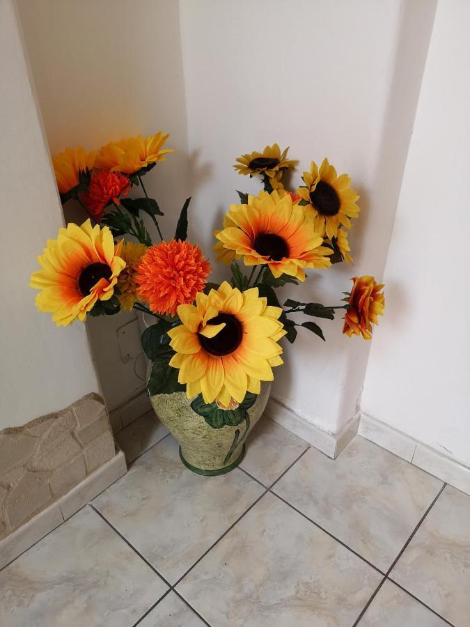 B&B Casa Valeria Catane Extérieur photo